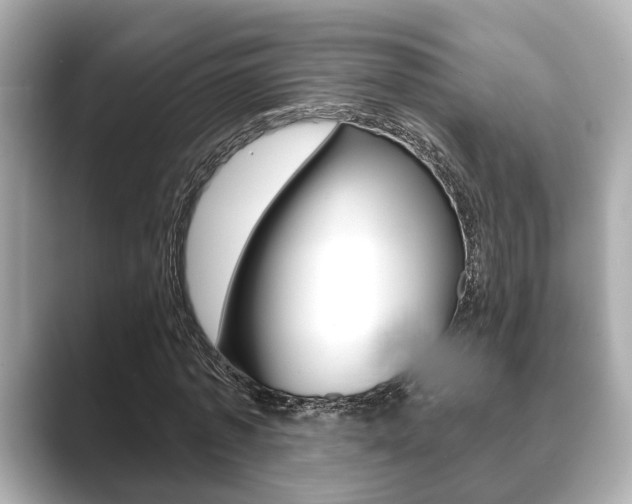X0000089680773200706210813