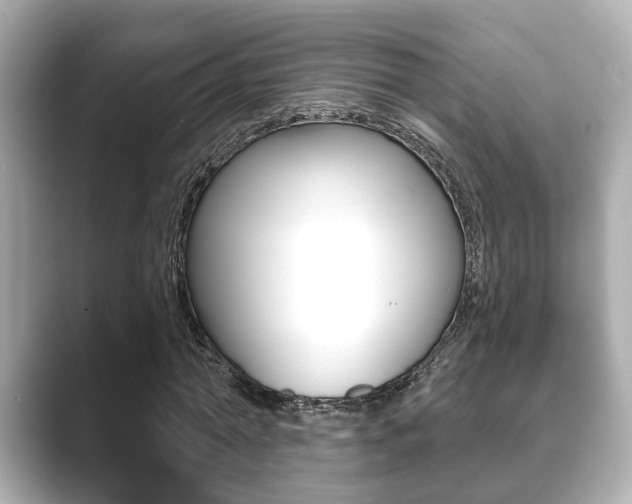 X0000089680774200706210813
