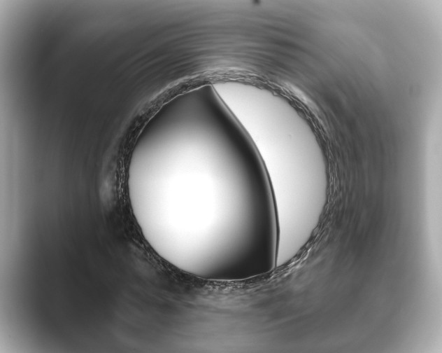 X0000089680775200706210813