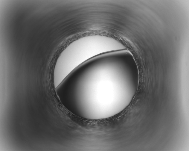 X0000089680776200706210813