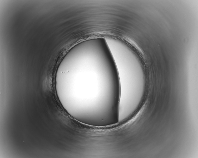 X0000089680777200706210813