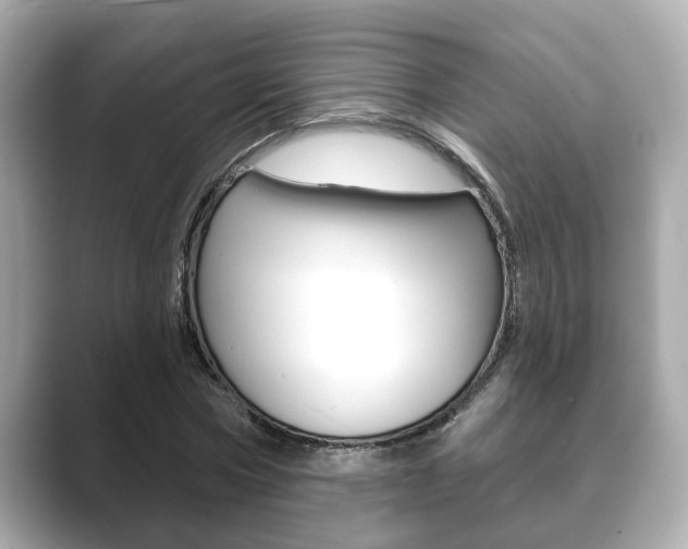 X0000089680778200706210813