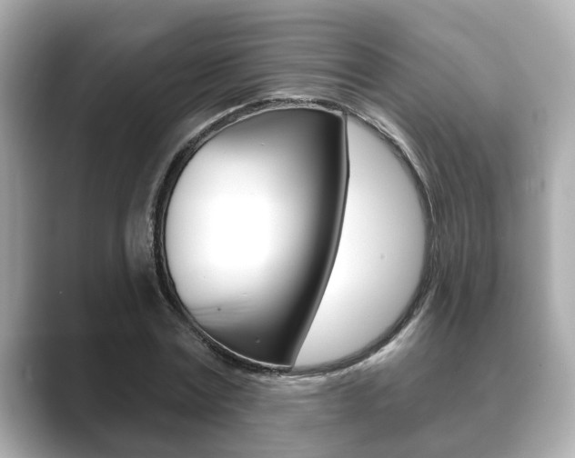 X0000089680779200706210813