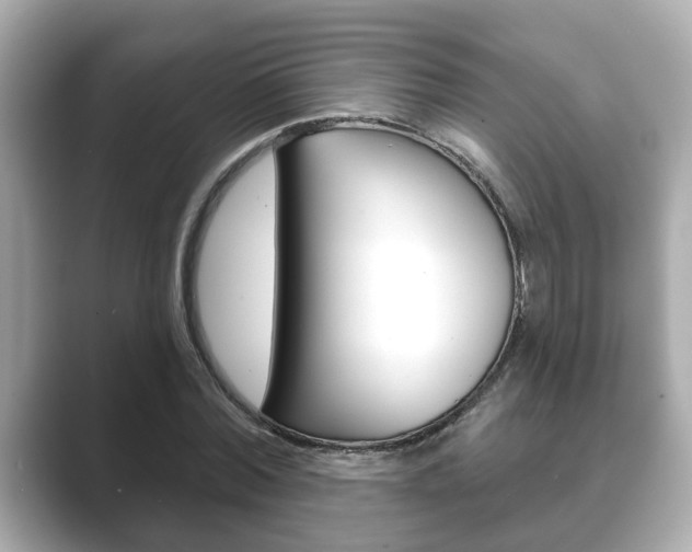 X0000089680780200706210813