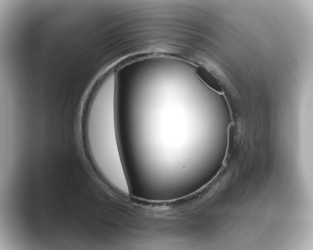 X0000089680784200706210813
