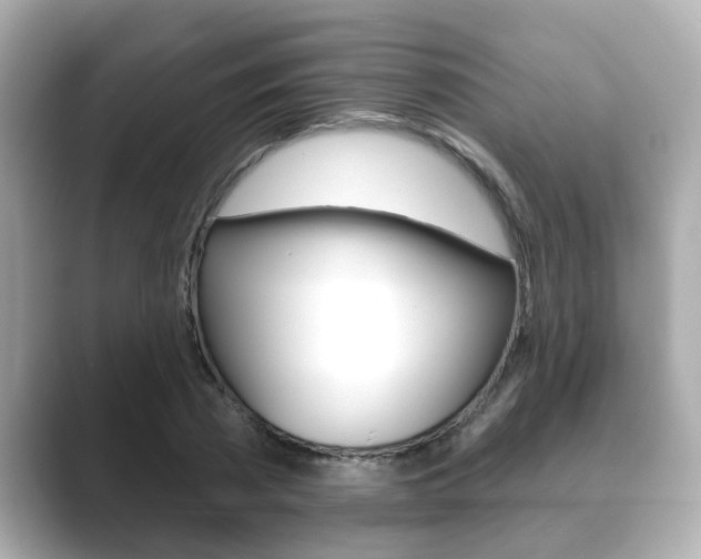 X0000089680785200706210813