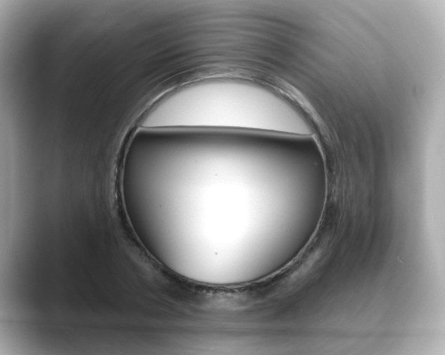 X0000089680786200706210813