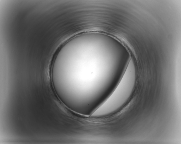 X0000089680789200706210813
