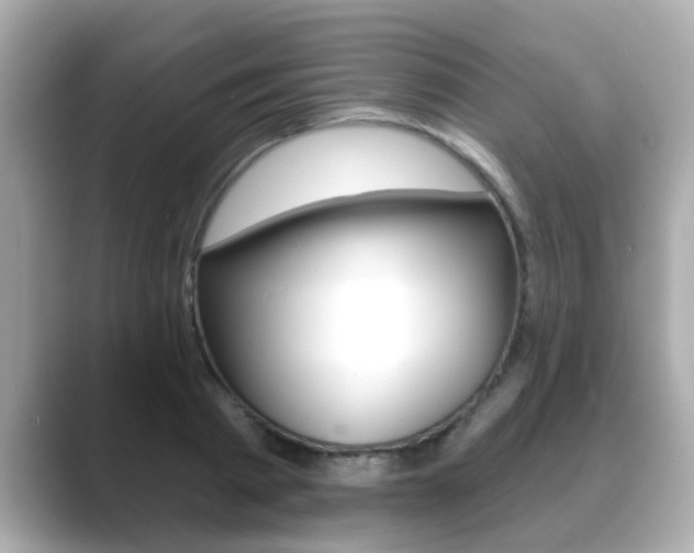 X0000089680793200706210813
