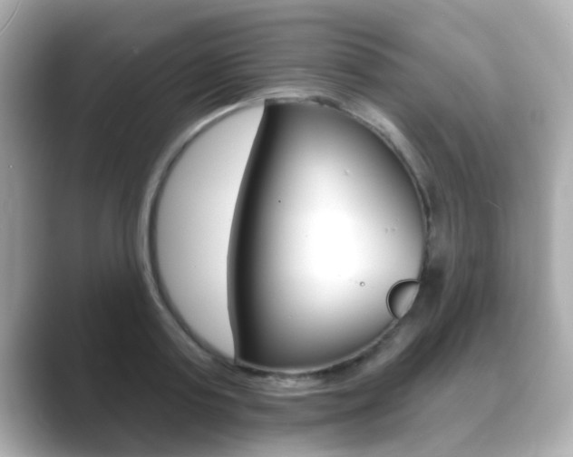 X0000089680795200706210813