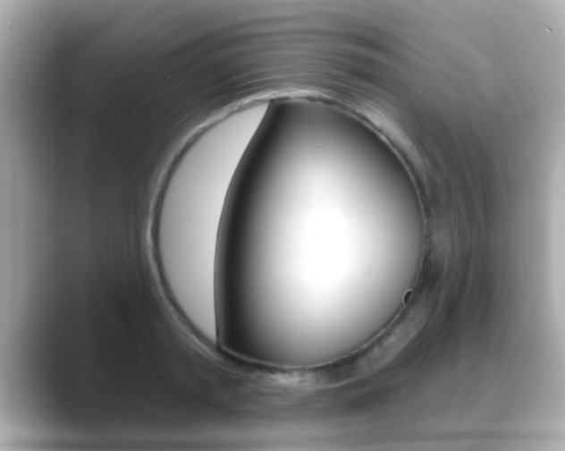 X0000089680797200706210813