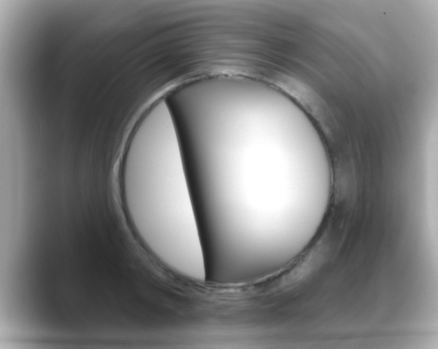 X0000089680798200706210813