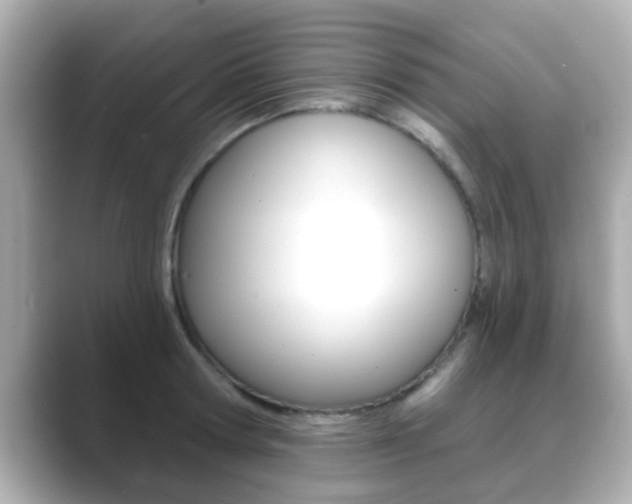 X0000089680802200706210813