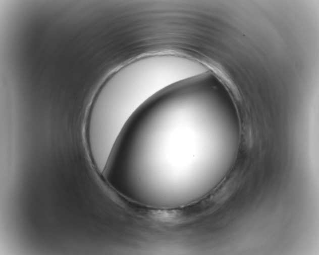 X0000089680805200706210813