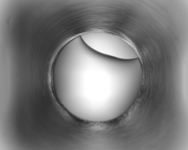 X0000089680811200706210813