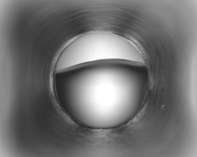 X0000089680812200706210813