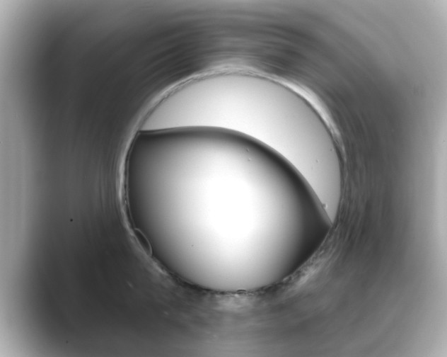 X0000089680815200706210813