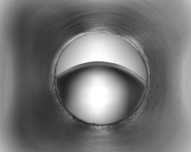 X0000089680816200706210813