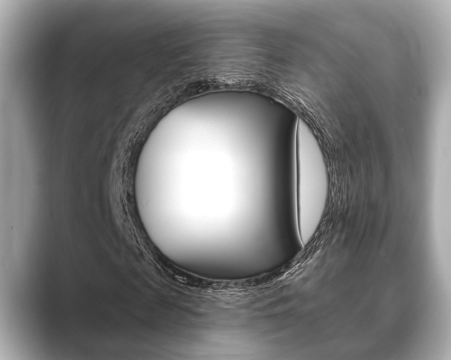X0000089680817200706210812