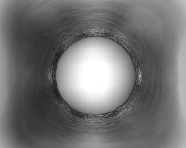 X0000089680819200706210812