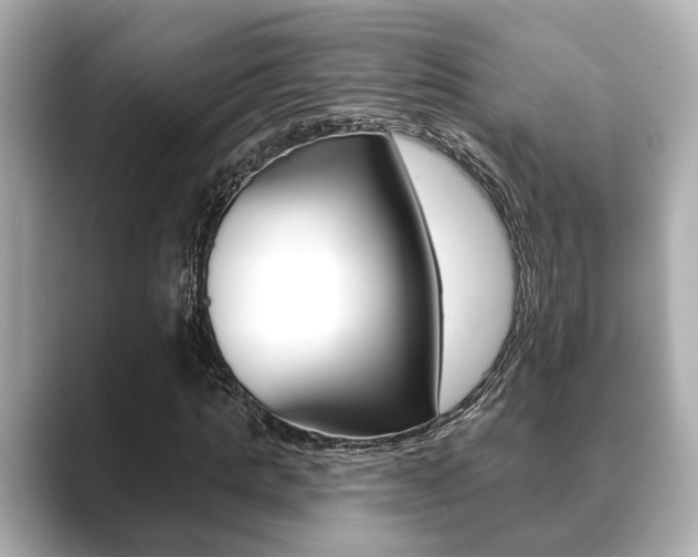 X0000089680821200706210812