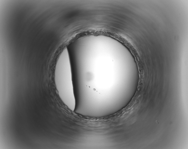 X0000089680823200706210812