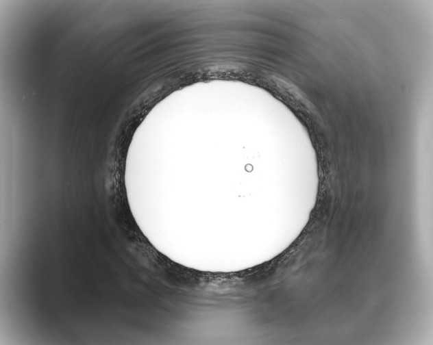 X0000089680824200706210812