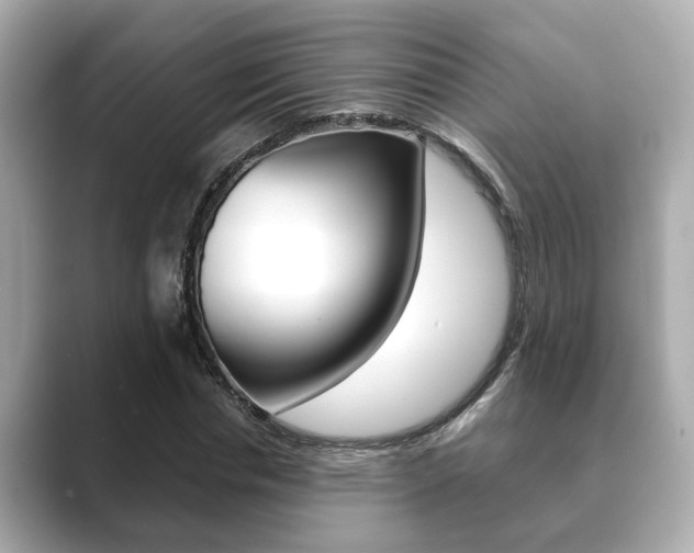 X0000089680826200706210812