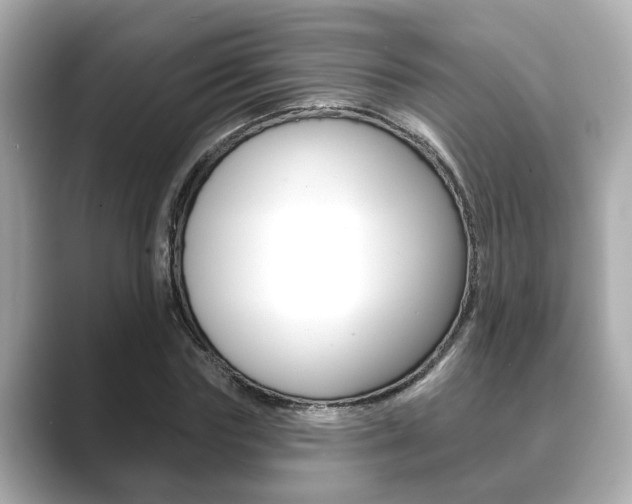 X0000089680827200706210812