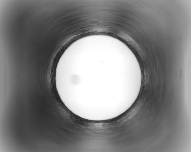 X0000089680828200706210812