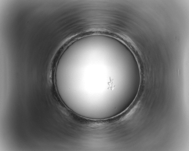 X0000089680830200706210812