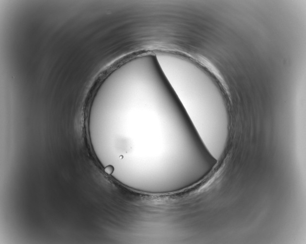 X0000089680831200706210812