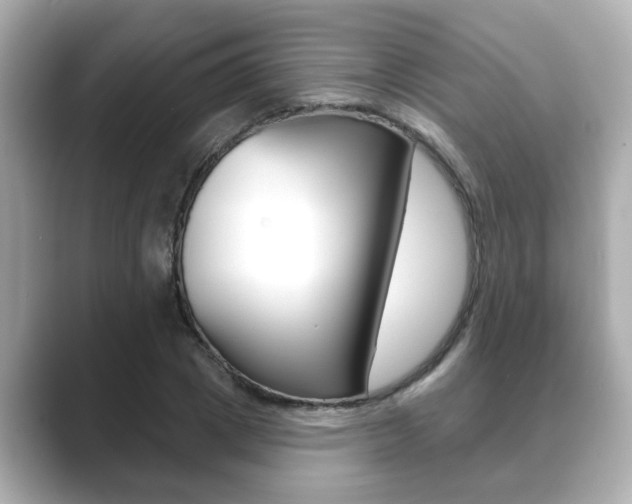 X0000089680833200706210812