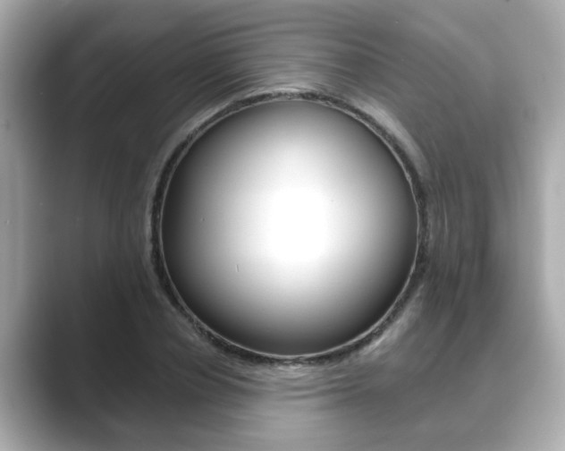 X0000089680834200706210812