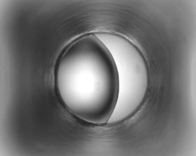 X0000089680838200706210812
