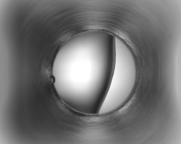 X0000089680841200706210812
