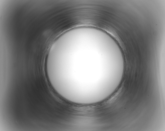 X0000089680842200706210812