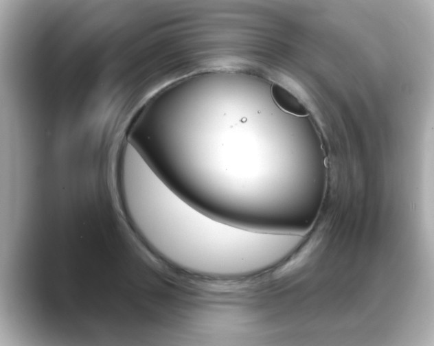 X0000089680843200706210812