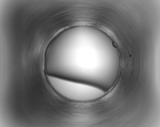 X0000089680844200706210812