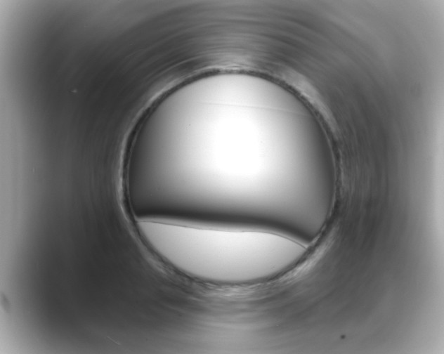 X0000089680845200706210812