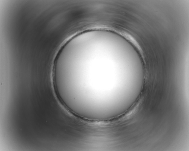 X0000089680847200706210812