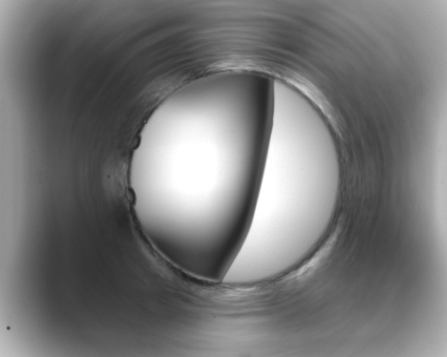 X0000089680849200706210812