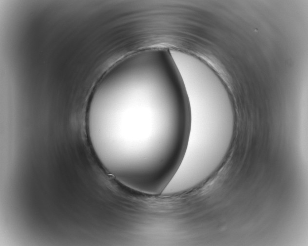 X0000089680850200706210812