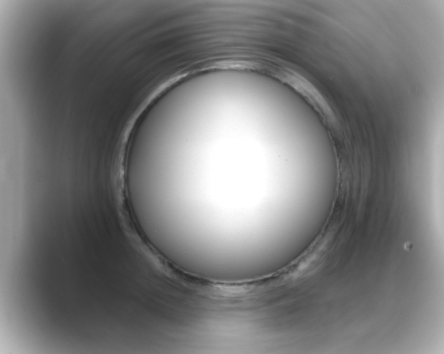 X0000089680852200706210812