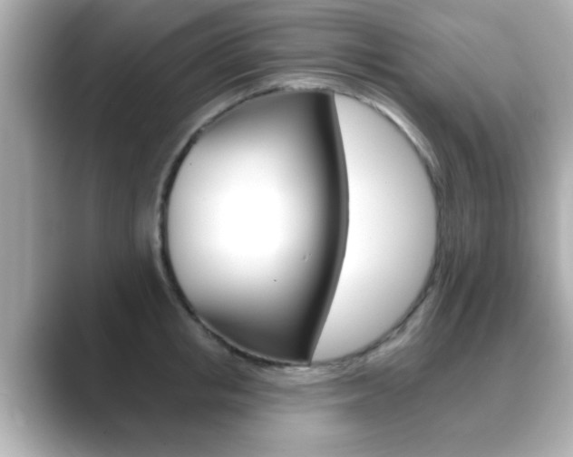 X0000089680853200706210812