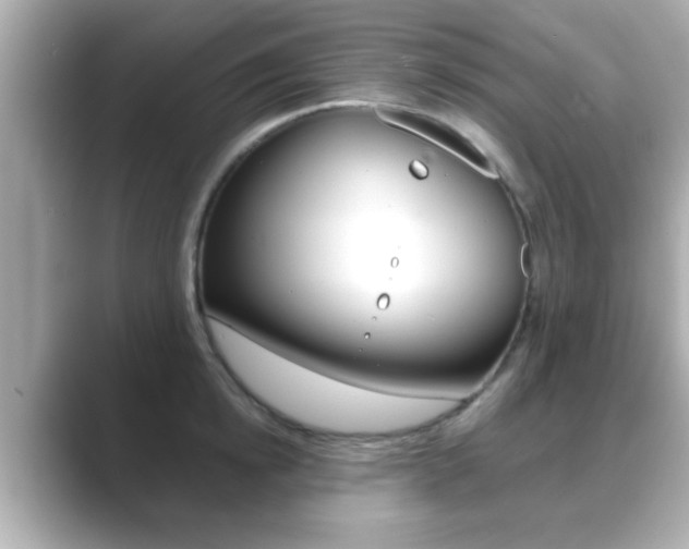 X0000089680854200706210812