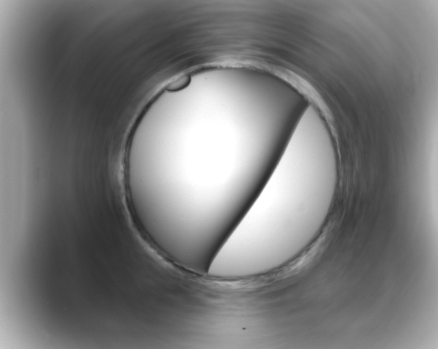 X0000089680855200706210812