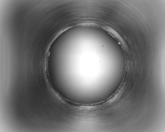 X0000089680860200706210813