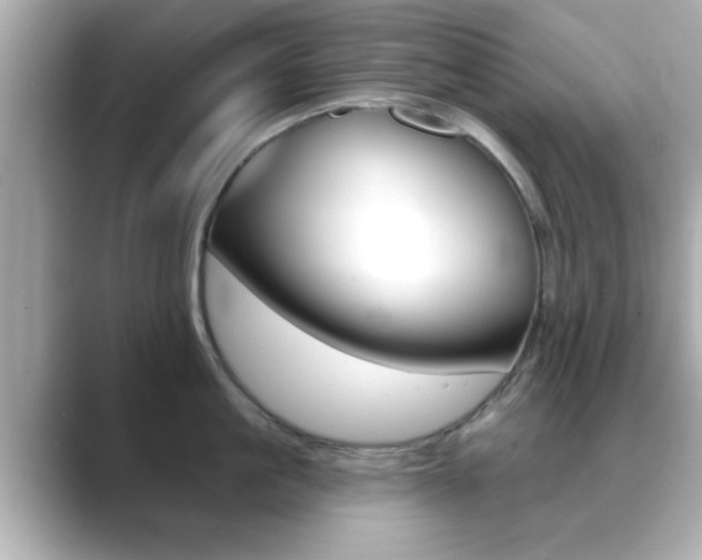 X0000089680861200706210813