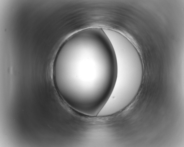 X0000089680862200706210813